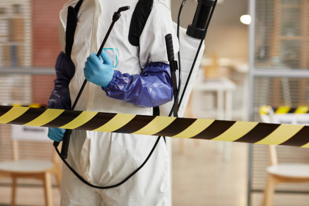 Professional Sewage Cleanup technician working in Venice, IL